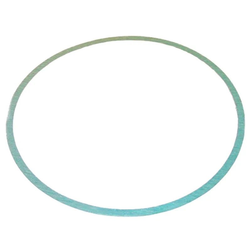 Armstrong Fluid Technology 8426401-006 Pump Casing Gasket