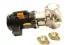 Lochinvar 100166409 Water Heater Pump 3/4 hp