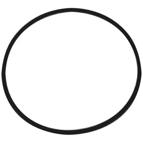 O-RING SANISERVE DOOR for Saniserv 58911
