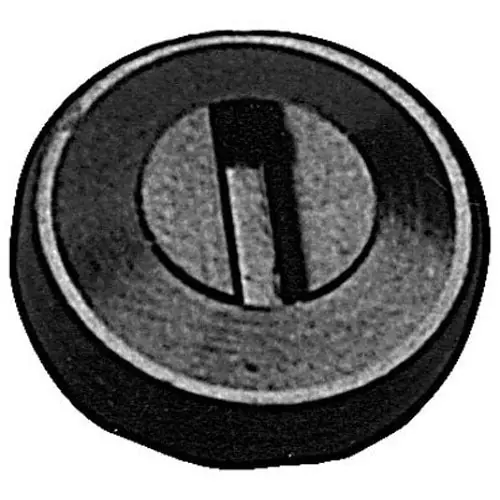 SK0347202-US20260702-105043-0 BRUSH CAP - Image 1