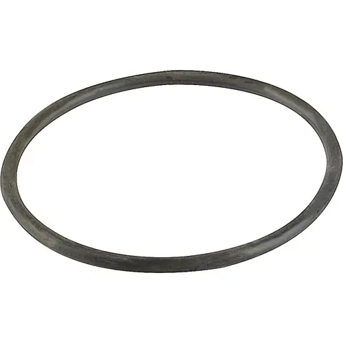 SK0354213-US20260702-105043-0 O-RING TANK COVER for Fetco 1024-00007-00 - Image 1