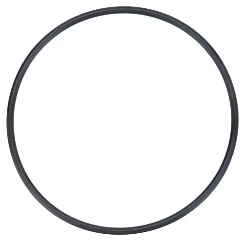 Hoshizaki 4A4755-04 O-RING JIS G90