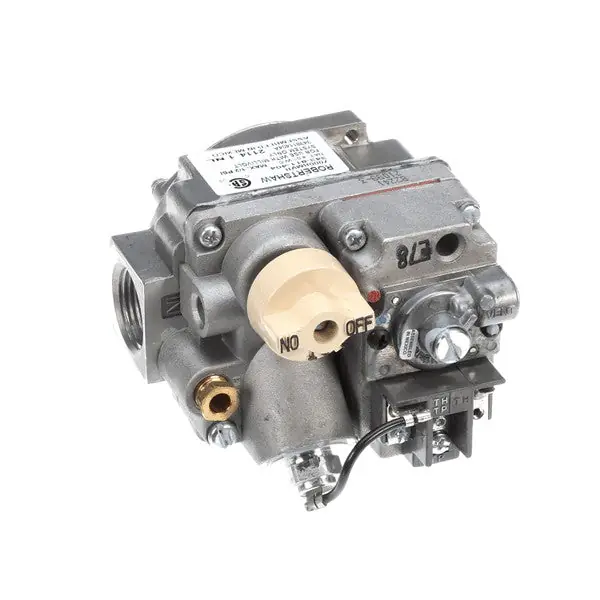 Valve Combination Safety Nat 301030003 for Atosa ACE301030003
