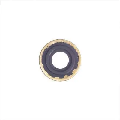 Western Enterprises 2544-2 Brass Seal Washer for Yoke Regulators