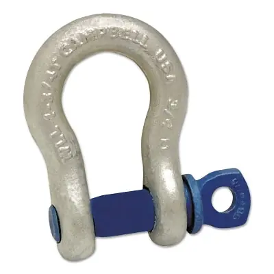 SK0381482-US20260702-105043-0 Campbell 5410635 419 Series Anchor Shackles 10 Tons 3/8 Inch Bail Size Screw Pin Shackle - Image 1