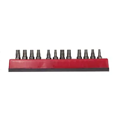 SK0383715-US20260702-105043-0 Mayhew Tools 18003 12-Pc Insert Bit Set Torx and Tamper Torx - Image 1