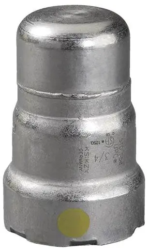 SK0385195-US20260702-105043-0 Viega 25756 MegaPressG 2 Inch Cap Carbon Steel 125 PSI Press Connection - Image 1