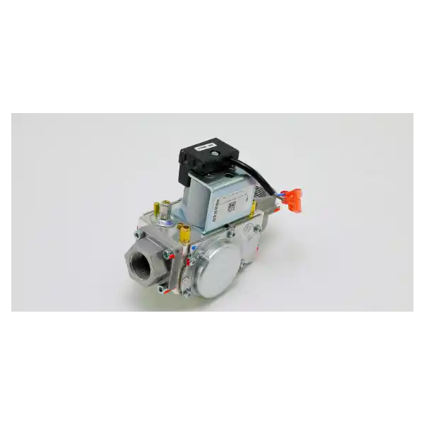 Lochinvar 100187876 NAT and LP Gas Valve Assembly