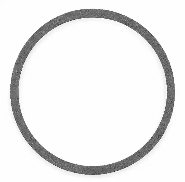 Xylem-Bell & Gossett 52-111-311-005 Discharge Gasket 10 Bolt Holes