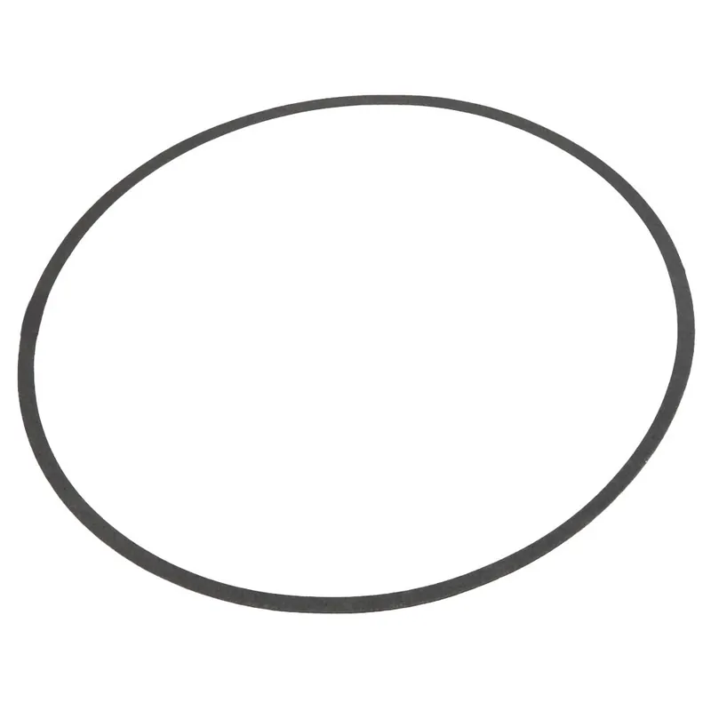 Xylem-Bell & Gossett P80767 Volute Gasket